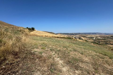 Terra a Giarratana, Ragusa, Giarratana - € 50.000 | Ref: Z 43 - foto 16