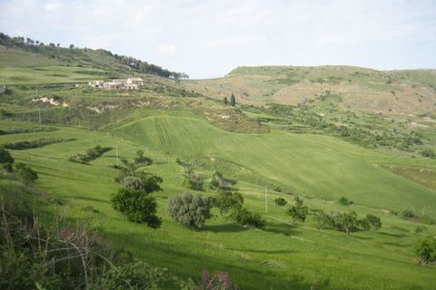 Terra a Giarratana, Ragusa, Giarratana - € 50.000 | Ref: Z 43 - foto 18