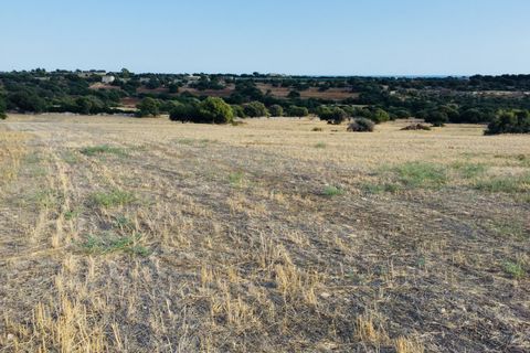 Villa i Modica, Ragusa, Modica - € 250.000 | Ref: Z 26 VILLA - foto 16