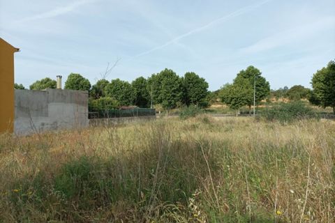 Terra a Macao, Santarem, Macao - € 30.000 | Ref: SÒL_240 - foto 2