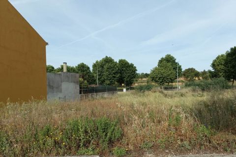Terra a Macao, Santarem, Macao - € 30.000 | Ref: SÒL_240 - foto 3