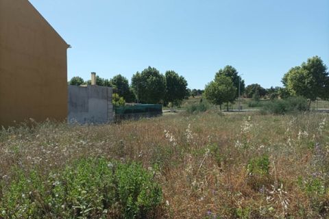 Terra a Macao, Santarem, Macao - € 30.000 | Ref: SÒL_240 - foto 4