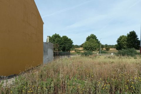 Terra a Macao, Santarem, Macao - € 30.000 | Ref: SÒL_240 - foto 5