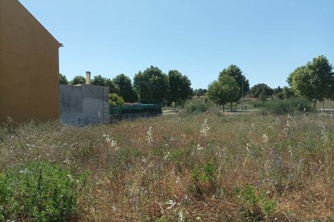Terra a Macao, Santarem, Macao - € 30.000 | Ref: SÒL_240 - foto 6