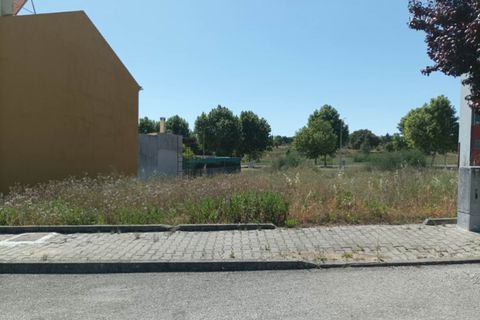 Terra a Macao, Santarem, Macao - € 30.000 | Ref: SÒL_240 - foto 7