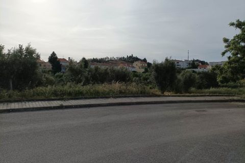 Terra a Macao, Santarem, Macao - € 30.000 | Ref: SÒL_240 - foto 8