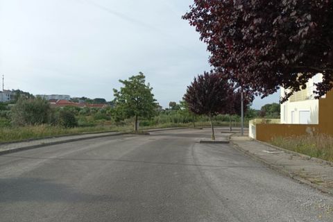 Terra a Macao, Santarem, Macao - € 30.000 | Ref: SÒL_240 - foto 9