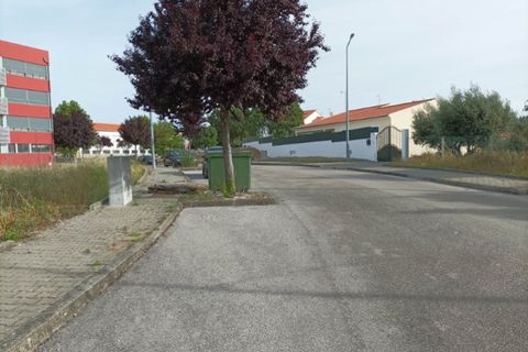 Terra a Macao, Santarem, Macao - € 30.000 | Ref: SÒL_240 - foto 10