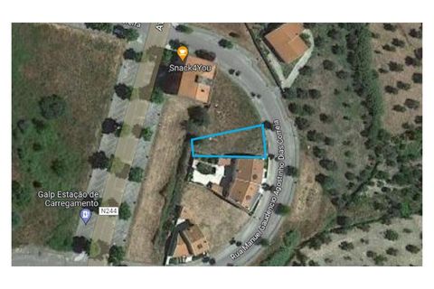Terra a Macao, Santarem, Macao - € 30.000 | Ref: SÒL_240 - foto 11