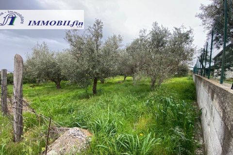 Helårsgrund i Misilmeri, Palermo, Misilmeri - € 50.000 | Ref: 1846 - foto 1