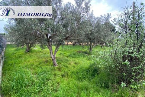 Helårsgrund i Misilmeri, Palermo, Misilmeri - € 50.000 | Ref: 1846 - foto 3