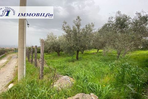 Helårsgrund i Misilmeri, Palermo, Misilmeri - € 50.000 | Ref: 1846 - foto 5