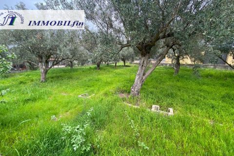 Helårsgrund i Misilmeri, Palermo, Misilmeri - € 50.000 | Ref: 1846 - foto 6