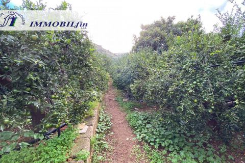 Villa i Palermo, Palermo, Palermo - € 150.000 | Ref: 1881 - foto 15