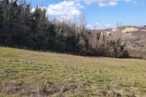 Villa i Roncofreddo, Forli-Cesena, Roncofreddo - € 410.000 | Ref: 2018 - foto 11
