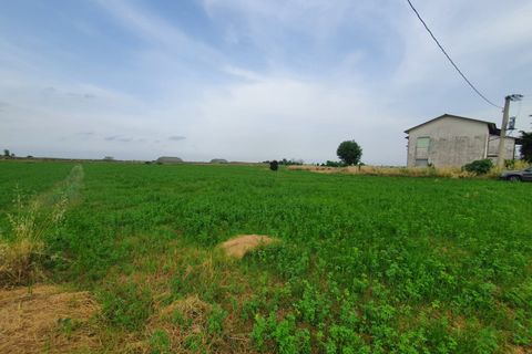 Villa in Cervia, Ravenna, Cervia - € 280,000 | Ref: 2050 - photo 8