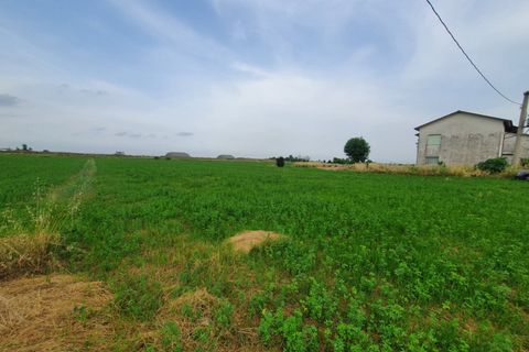 Villa in Cervia, Ravenna, Cervia - € 280,000 | Ref: 2050 - photo 14