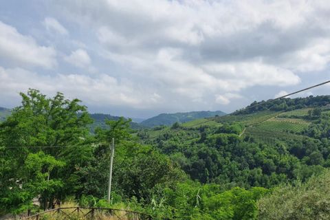 Erhvervsejendom i Roncofreddo, Forli-Cesena, Roncofreddo - € 570.000 | Ref: 2053 - foto 2