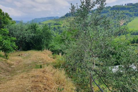 Erhvervsejendom i Roncofreddo, Forli-Cesena, Roncofreddo - € 570.000 | Ref: 2053 - foto 15