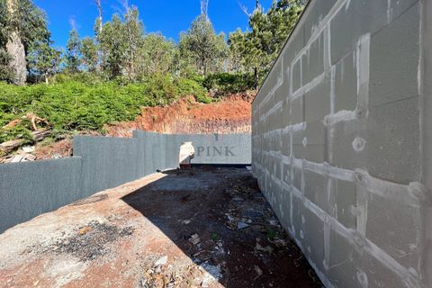 Villa i Camara de Lobos, Madeira, Camara de Lobos - € 895.000 | Ref: 8368 - foto 19