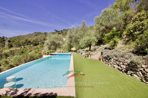 Villa a Seborga, Imperia, Seborga - € 695.000 | Ref: E289 - foto 11