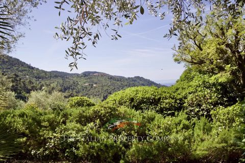 Villa a Seborga, Imperia, Seborga - € 695.000 | Ref: E289 - foto 16