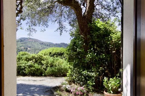 Villa a Seborga, Imperia, Seborga - € 695.000 | Ref: E289 - foto 19