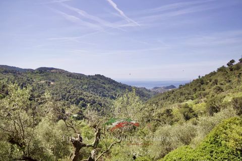 Villa a Seborga, Imperia, Seborga - € 695.000 | Ref: E289 - foto 34