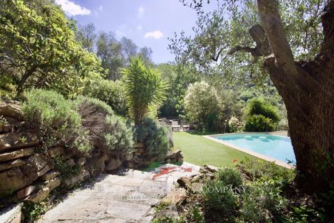 Villa a Seborga, Imperia, Seborga - € 695.000 | Ref: E289 - foto 44