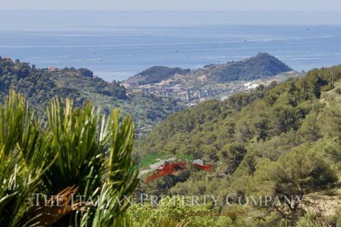 Villa a Seborga, Imperia, Seborga - € 695.000 | Ref: E289 - foto 50