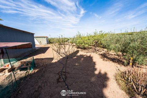Villa i Roldan, Murcia, Roldan - € 379 999 | Ref: ATT-164 - foto 17