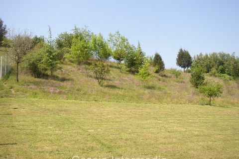 Terra a Nepi, Viterbo, Nepi - € 40.000 | Ref: Gabelletta - foto 2