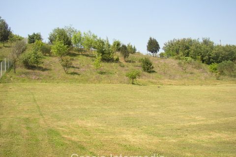 Terra a Nepi, Viterbo, Nepi - € 40.000 | Ref: Gabelletta - foto 3