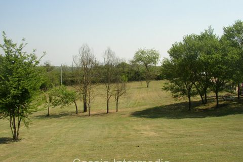 Terra a Nepi, Viterbo, Nepi - € 40.000 | Ref: Gabelletta - foto 7