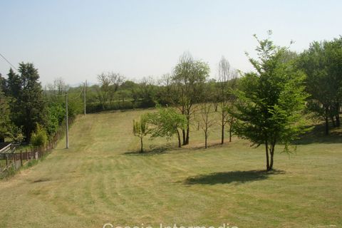 Terra a Nepi, Viterbo, Nepi - € 40.000 | Ref: Gabelletta - foto 8