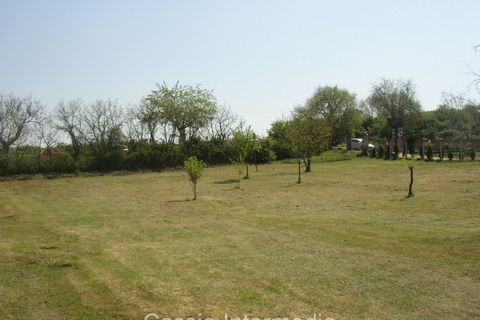 Terra a Nepi, Viterbo, Nepi - € 40.000 | Ref: Gabelletta - foto 10