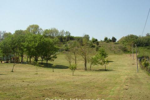 Terra a Nepi, Viterbo, Nepi - € 40.000 | Ref: Gabelletta - foto 12