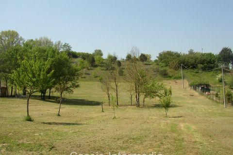 Terra a Nepi, Viterbo, Nepi - € 40.000 | Ref: Gabelletta - foto 13