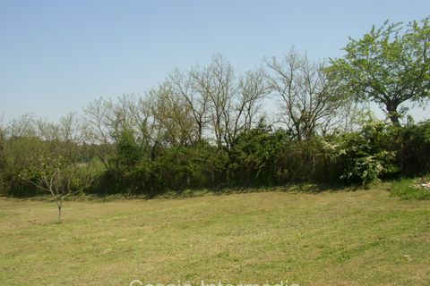 Terra a Nepi, Viterbo, Nepi - € 40.000 | Ref: Gabelletta - foto 16