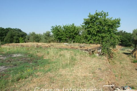 Landejendom i Nepi, Viterbo, Nepi - € 45.000 | Ref: Cerro1 - foto 3