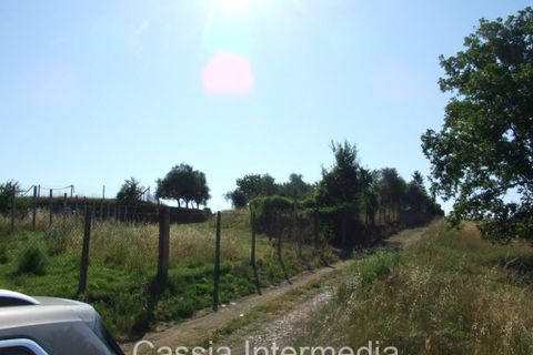 Landejendom i Nepi, Viterbo, Nepi - € 45.000 | Ref: Cerro1 - foto 5