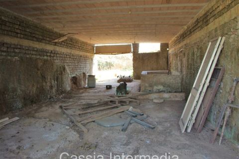 Landejendom i Nepi, Viterbo, Nepi - € 45.000 | Ref: Cerro1 - foto 9