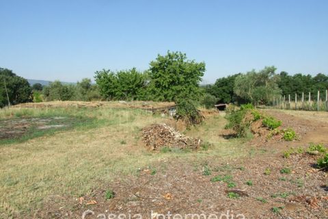 Landejendom i Nepi, Viterbo, Nepi - € 45.000 | Ref: Cerro1 - foto 11