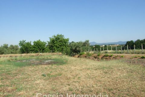 Landejendom i Nepi, Viterbo, Nepi - € 45.000 | Ref: Cerro1 - foto 12