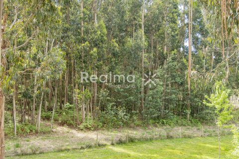 Helårsgrund i Braga, Braga, Braga - € 199.900 | Ref: R01523 - foto 4