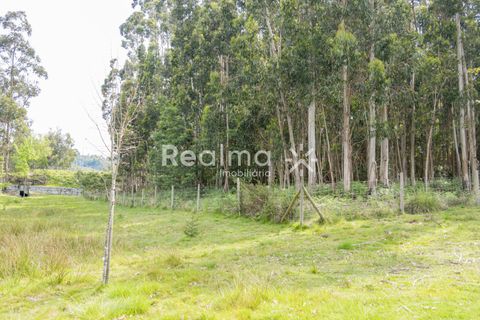 Helårsgrund i Braga, Braga, Braga - € 199.900 | Ref: R01523 - foto 6