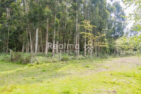 Helårsgrund i Braga, Braga, Braga - € 199.900 | Ref: R01523 - foto 7