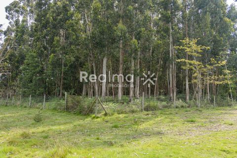 Helårsgrund i Braga, Braga, Braga - € 199.900 | Ref: R01523 - foto 8