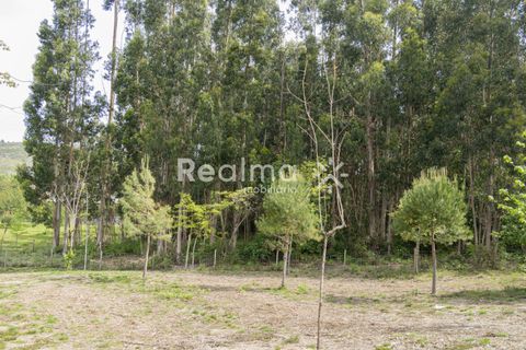 Helårsgrund i Braga, Braga, Braga - € 199.900 | Ref: R01523 - foto 9