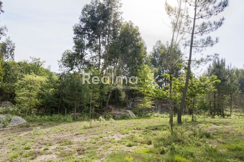 Helårsgrund i Braga, Braga, Braga - € 199.900 | Ref: R01523 - foto 12